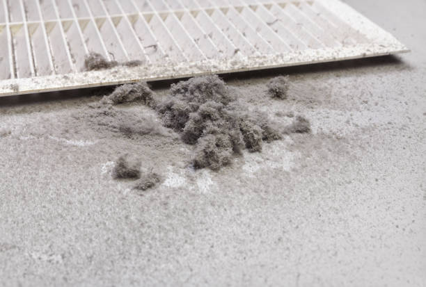 Best Ventilation Cleaning Services  in North Puyallup, WA
