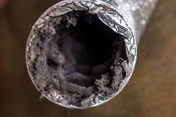 Best Residential Air Duct Cleaning  in North Puyallup, WA