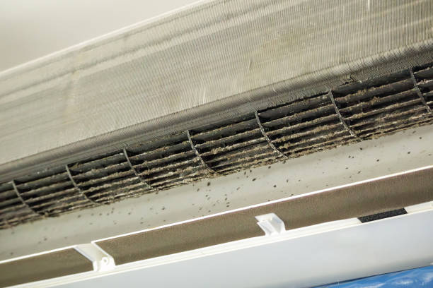 Best Professional Duct Cleaning Services  in North Puyallup, WA